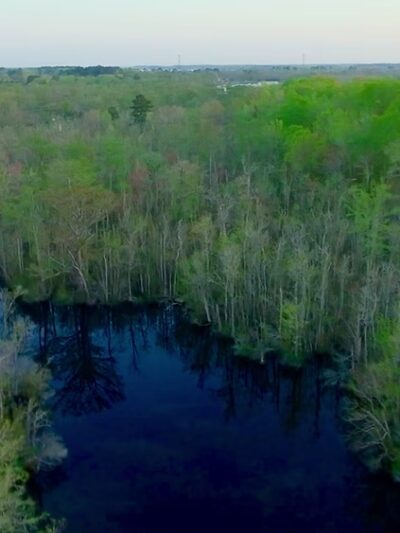 Camden Community Park - Camden, NC