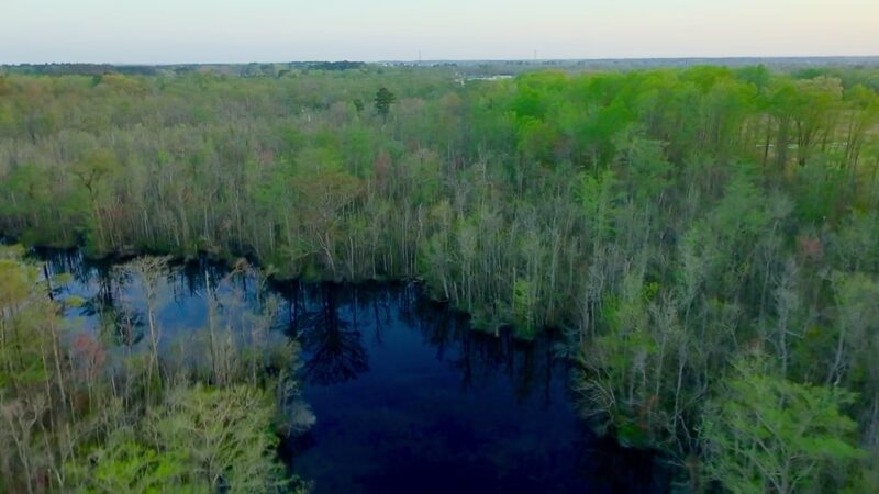 Camden Community Park - Camden, NC
