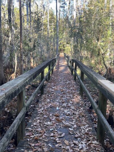 Treasure Point Park - Camden, NC
