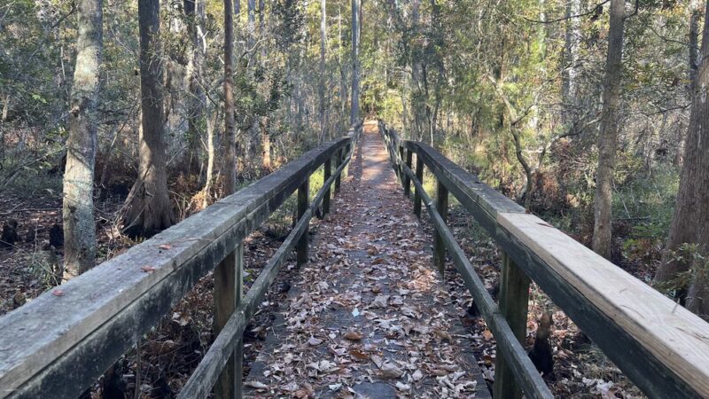 Treasure Point Park - Camden, NC