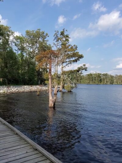 Treasure Point Park - Camden, NC