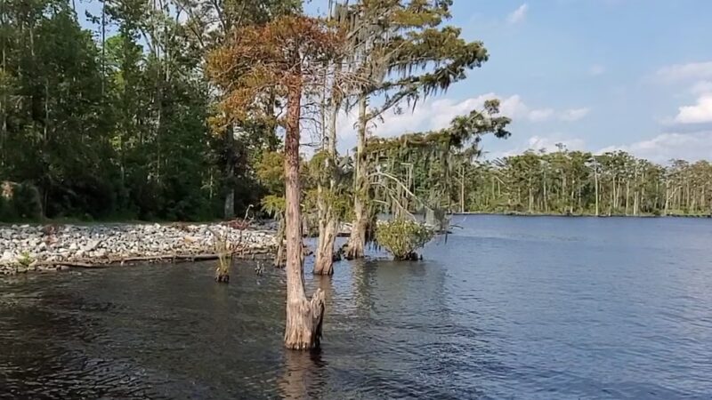 Treasure Point Park - Camden, NC