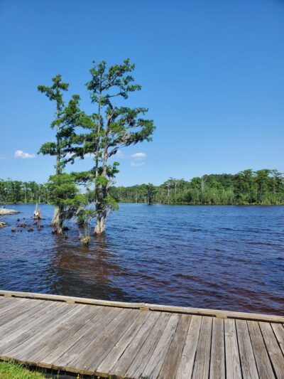 Treasure Point Park - Camden, NC