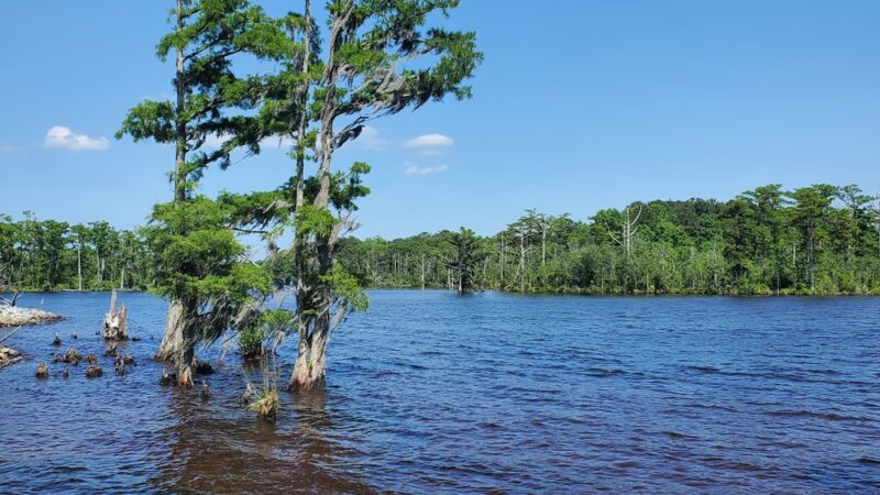 Treasure Point Park - Camden, NC