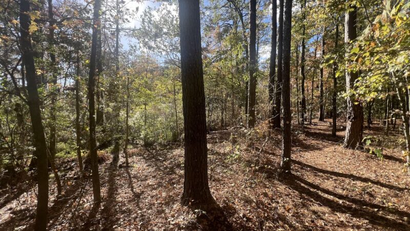 Treasure Point Park - Camden, NC