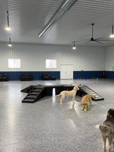 Salty Dog Ranch - Camillus, NY