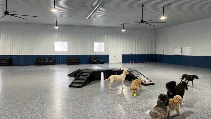 Salty Dog Ranch - Camillus, NY
