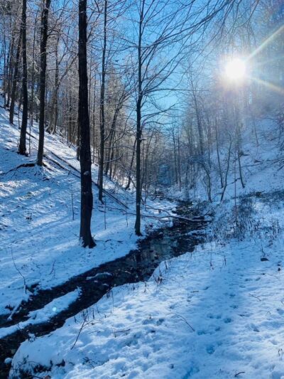 Salty Dog Ranch - Camillus, NY