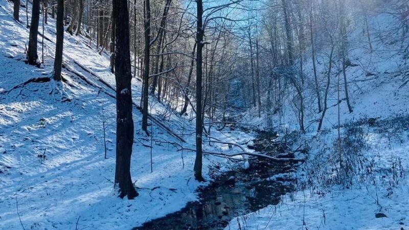 Salty Dog Ranch - Camillus, NY