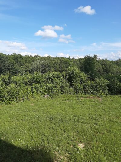 Camp Creek - Camp Creek, WV