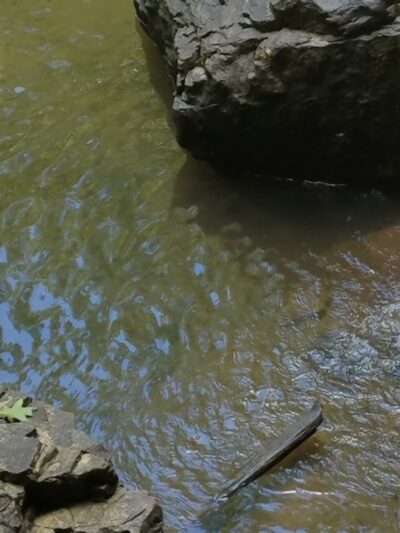 Camp Creek - Camp Creek, WV