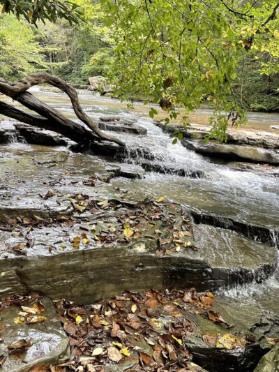 Camp Creek State Park - Camp Creek, WV