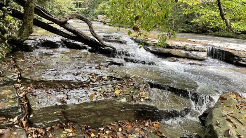 Camp Creek State Park - Camp Creek, WV