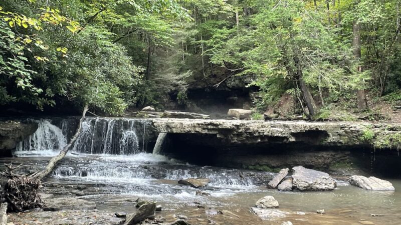 Mash Fork Falls - Camp Creek, WV