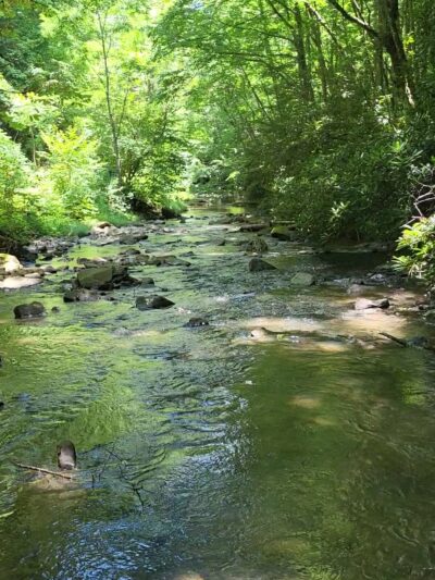 Mash Fork Falls - Camp Creek, WV