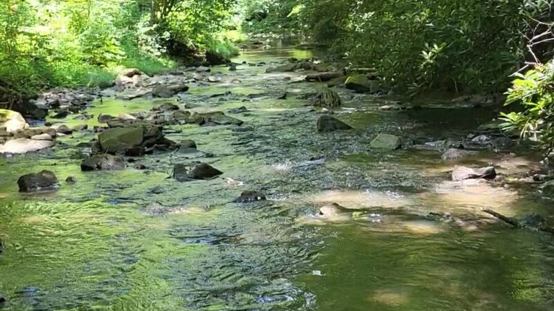Mash Fork Falls - Camp Creek, WV