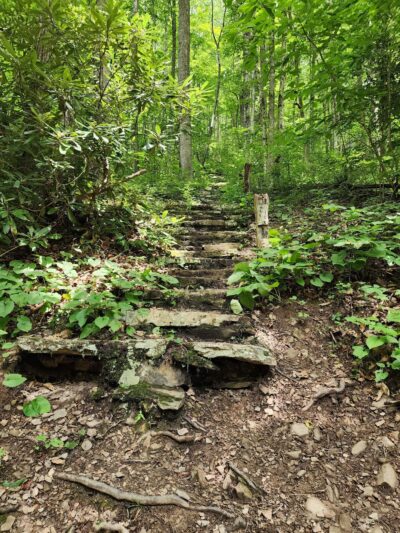 Mash Fork Falls - Camp Creek, WV