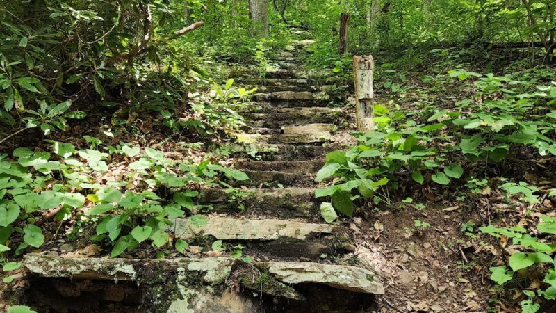 Mash Fork Falls - Camp Creek, WV
