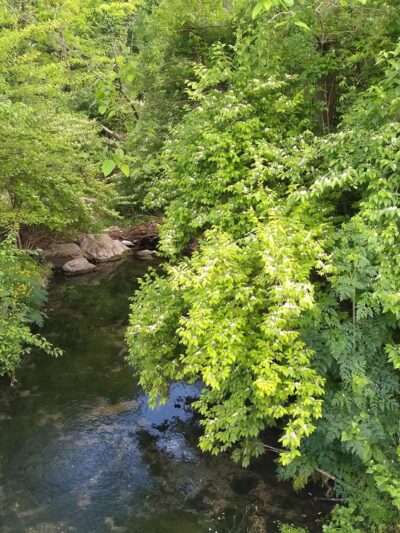 Cedar Spring Run Park - Camp Hill, PA