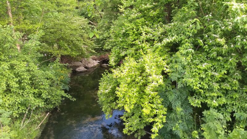 Cedar Spring Run Park - Camp Hill, PA