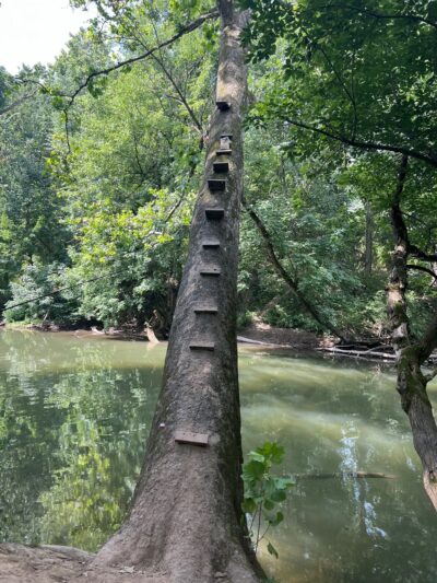 Green Lane Park - Camp Hill, PA