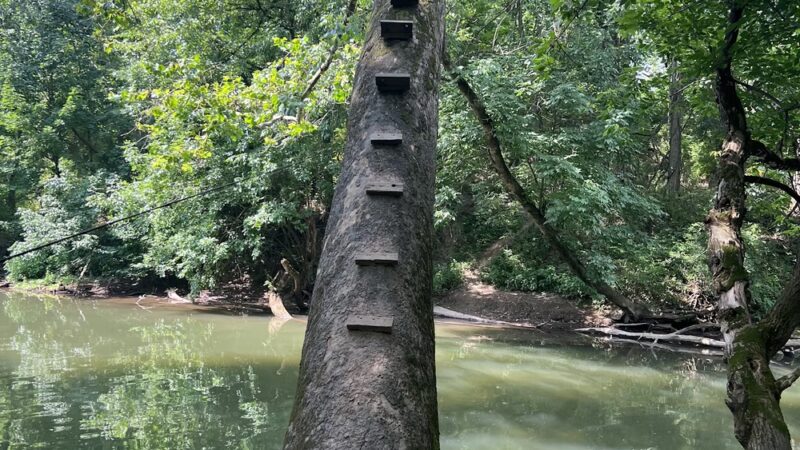 Green Lane Park - Camp Hill, PA