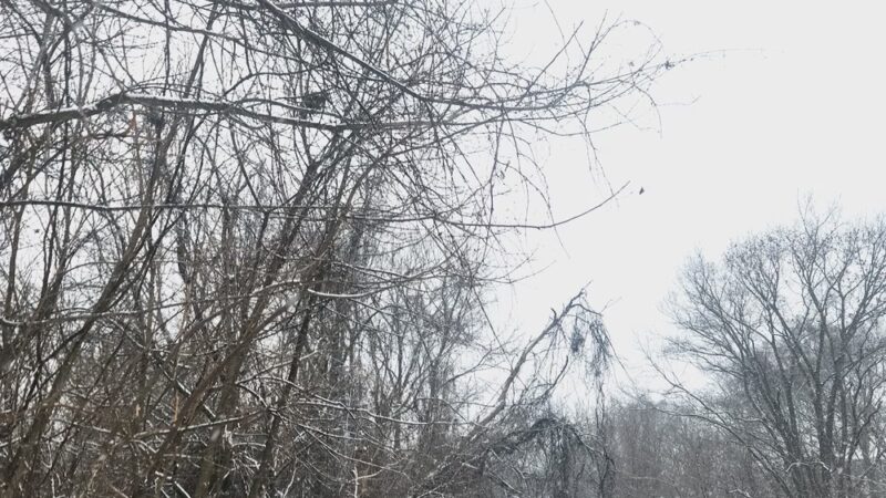 Rupley Memorial Park - Camp Hill, PA