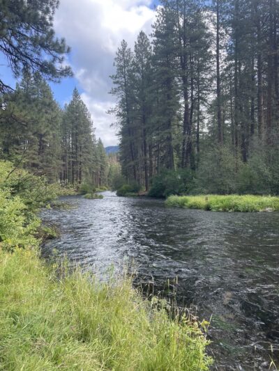 Metolius River Trail - Camp Sherman, OR