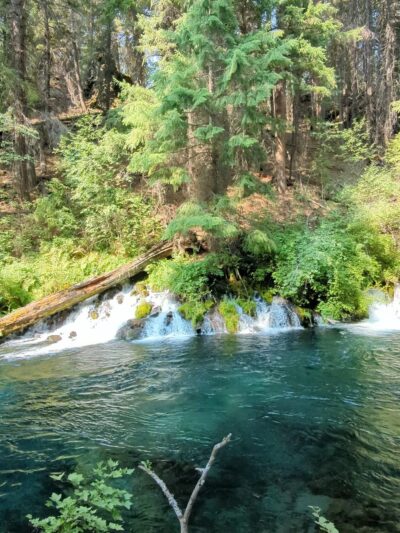 Metolius River Trail - Camp Sherman, OR