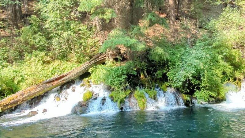 Metolius River Trail - Camp Sherman, OR