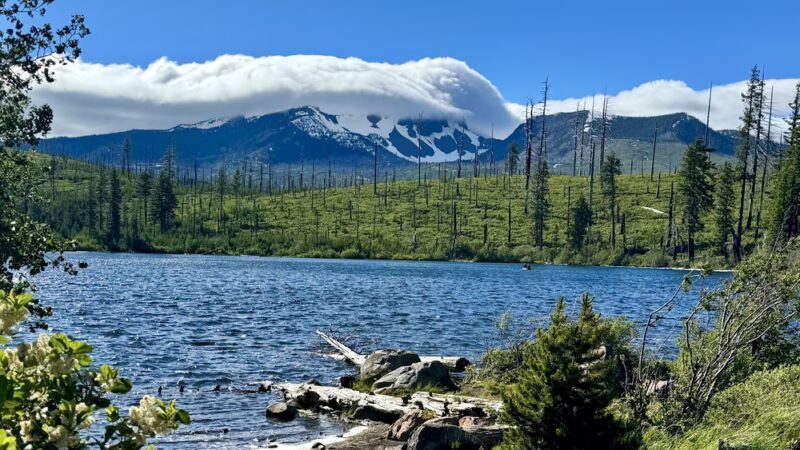 Metolius River Trail - Camp Sherman, OR