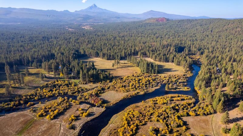 Metolius River Trail - Camp Sherman, OR