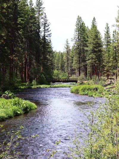 Camp Sherman Campground - Camp Sherman, OR