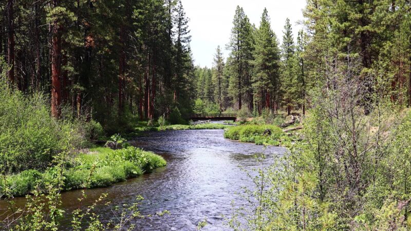 Camp Sherman Campground - Camp Sherman, OR