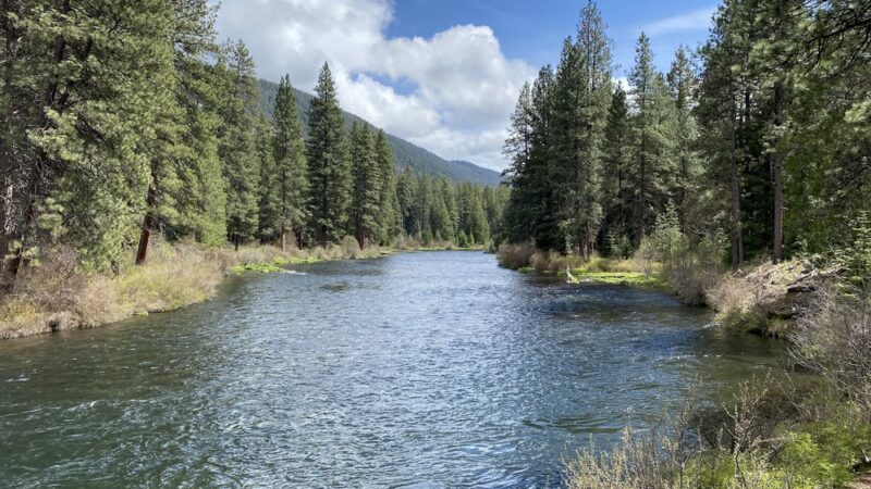 West Metolius Trailhead - Camp Sherman, OR