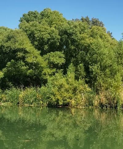 Beasley Flat RAP - Camp Verde, AZ