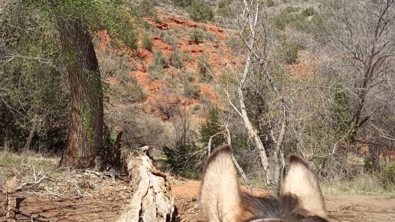 Bruce Brockett Trailhead - Camp Verde, AZ
