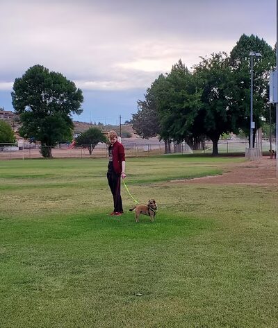 Butler Park - Camp Verde, AZ