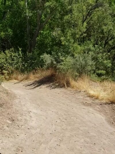 Clear Creek Fishing Site - Camp Verde, AZ