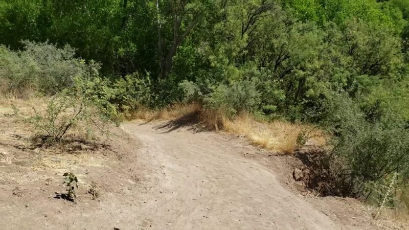 Clear Creek Fishing Site - Camp Verde, AZ