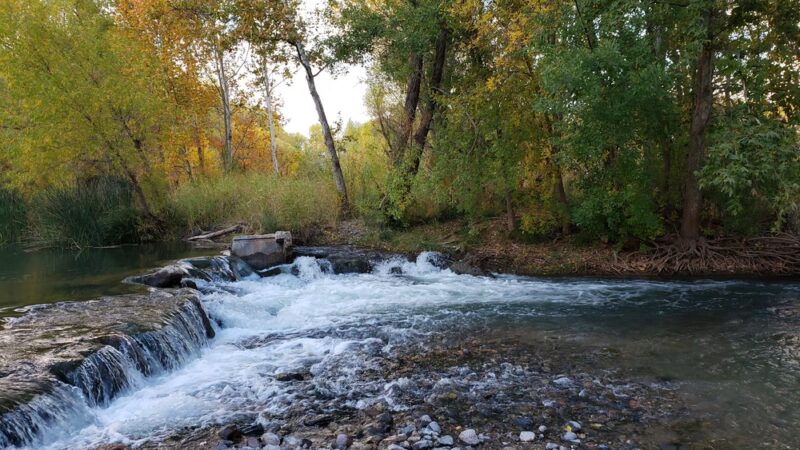 Clear Creek Fishing Site - Camp Verde, AZ