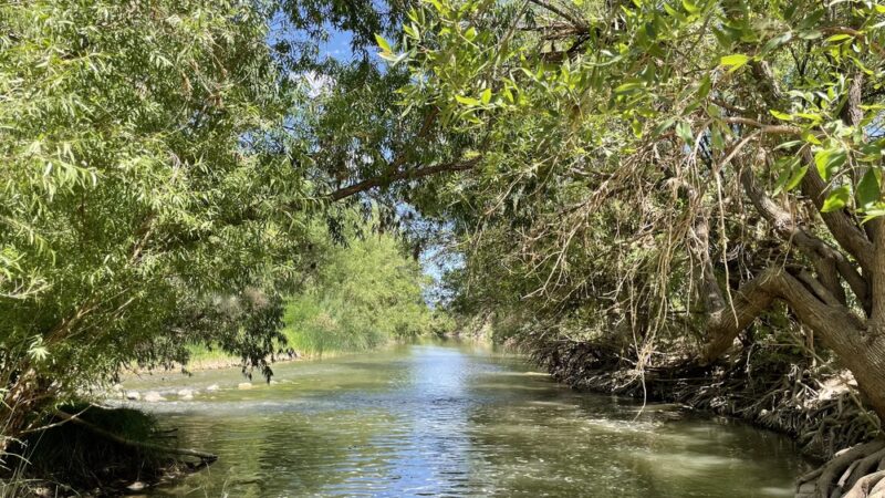 Clear Creek Fishing Site - Camp Verde, AZ