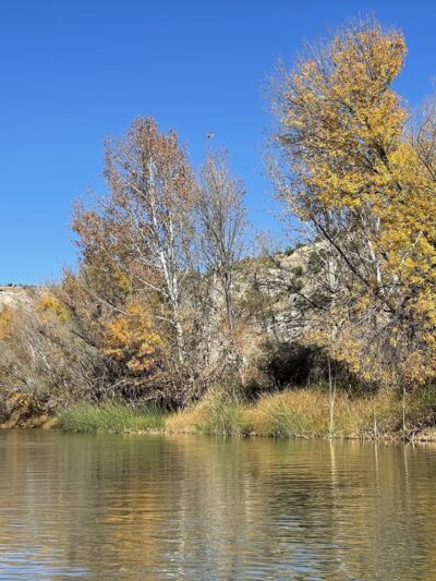 Clear Creek Fishing Site - Camp Verde, AZ