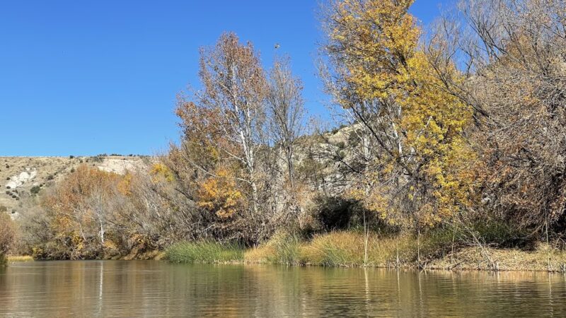 Clear Creek Fishing Site - Camp Verde, AZ
