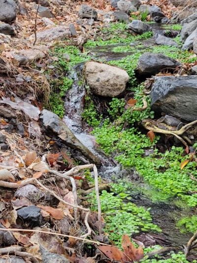 Copper Canyon Trailhead - Camp Verde, AZ