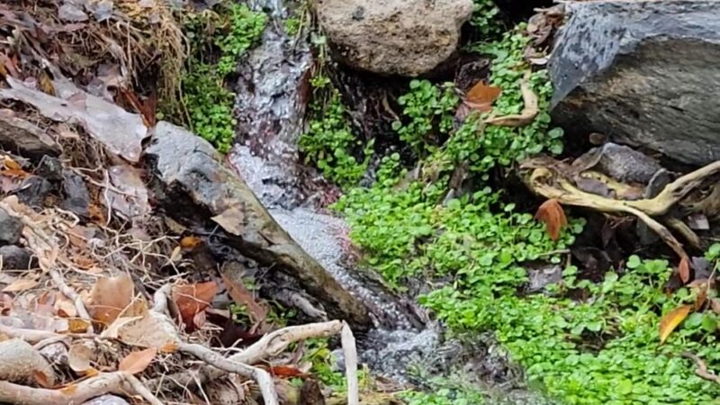 Copper Canyon Trailhead - Camp Verde, AZ