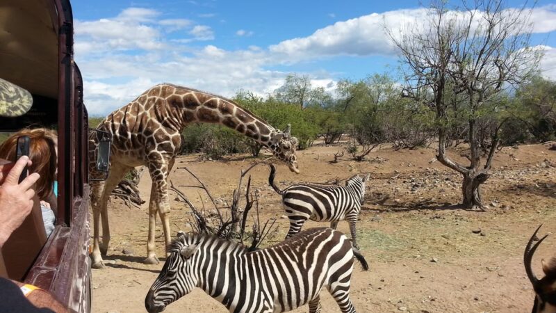 Out of Africa Wildlife Park - Camp Verde, AZ