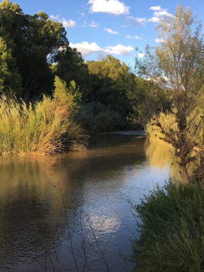 Rezzonico Family Park - Camp Verde, AZ