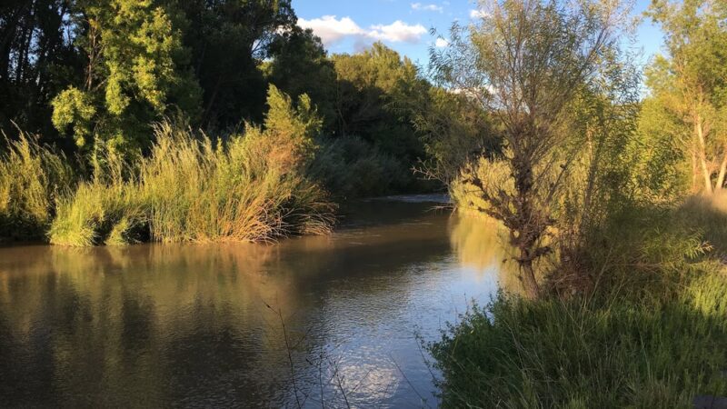 Rezzonico Family Park - Camp Verde, AZ
