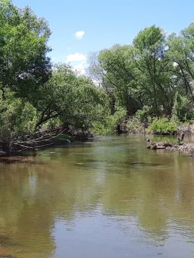 Rezzonico Family Park - Camp Verde, AZ